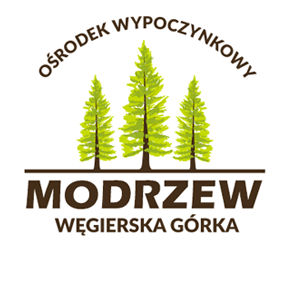 image-logo